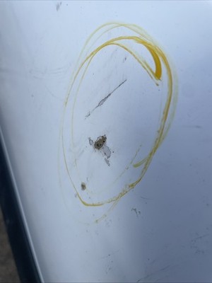 Mercedes Sprinter W907 W910 2019 2022 Side Loading Door Sliding Door BREAKING - Image 13