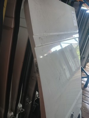 Peugeot Boxer Relay Ducato 2008-2025 Rear Door Left NS P505