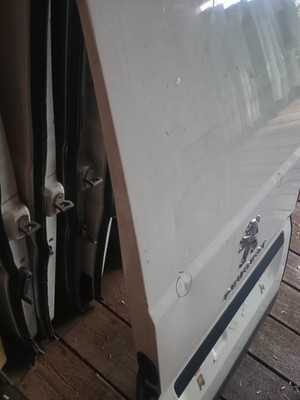 Peugeot Boxer Relay Ducato 2008-2025 Rear Door Left NS