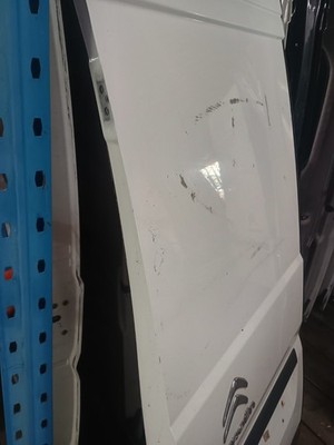 Peugeot Boxer Relay Ducato 2008-2025 Rear Door Left NS P507
