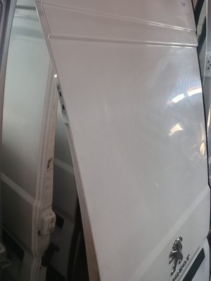 Peugeot Boxer Relay Ducato 2008-2025 Rear Door Left NS P517