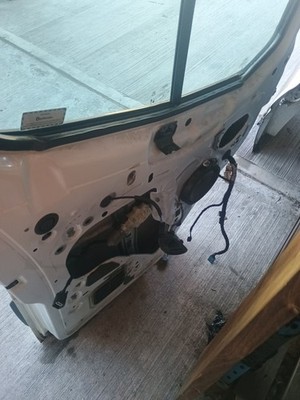 Ford Transit Passanger Side Door NS 2015-2024 P101 - Image 10