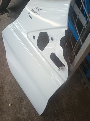 Ford Custom Facelift Left Side Wing Fender NS 2019-2023
