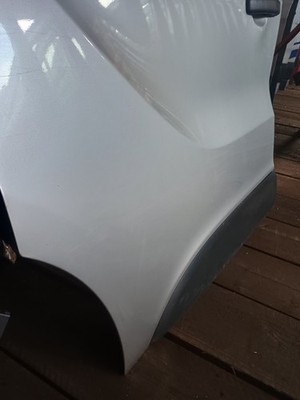 Vivaro Renault Trafic 3 Driver Left Side Door NS 2015-2019 BRAKING