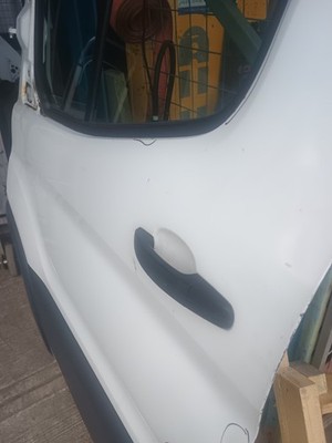 Ford Transit Passenger Side Door NS 2015-2024 P52 - imagine 5