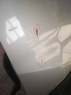 Ford Transit MK8 Rear Left Side Door NS 2015-2025 P586 - imagine 6