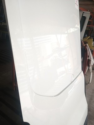 Ford Transit MK8 Rear Left Side Door Short Roof NS 2015-2026