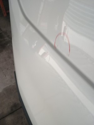 Ford Transit MK8 Rear Left Side Door Short Roof NS 2015-2026