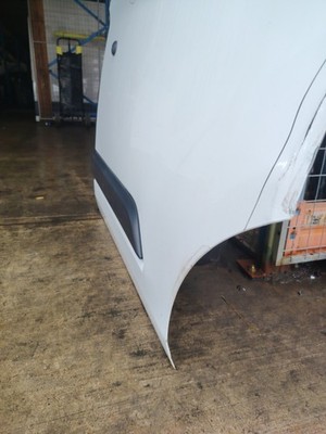 Ford Transit Custom 2012-2018 Front Door Right O/S P1211 - imagine 12