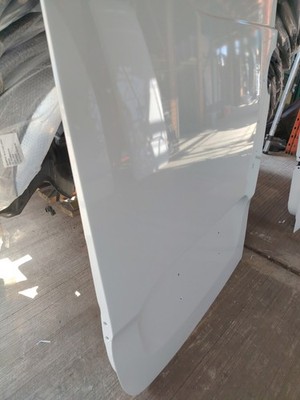 Mercedes Sprinter Rear Door Left Side NS W910 2019-2026 FWD